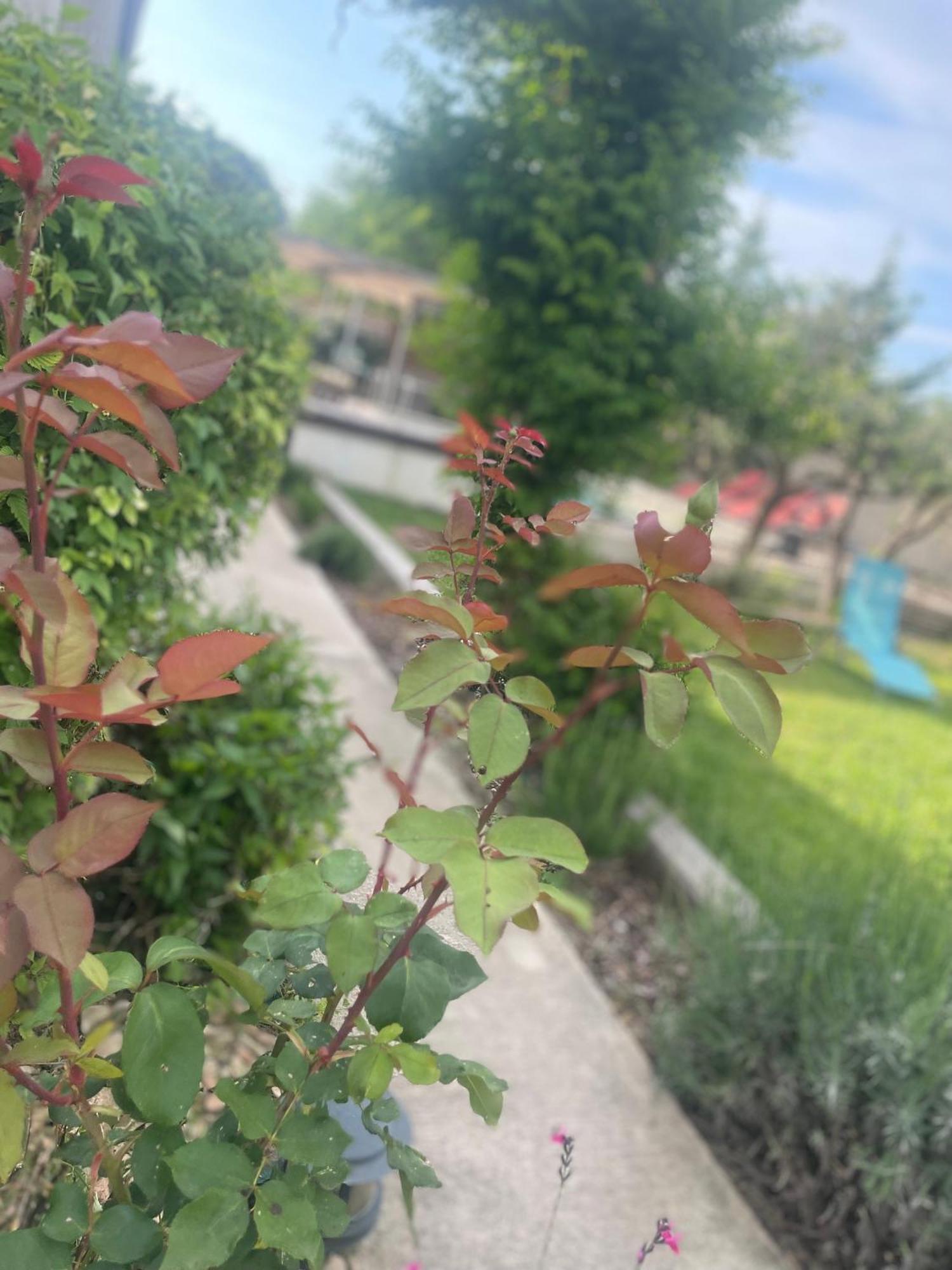 Villa Le Luberon Mérindol Екстериор снимка
